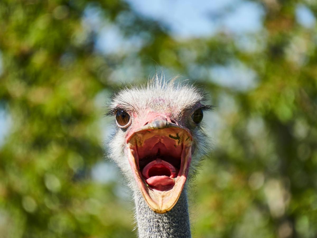 2025: TIME TO NAG THE HELL OUT OF YOUR&nbsp;AGENCY